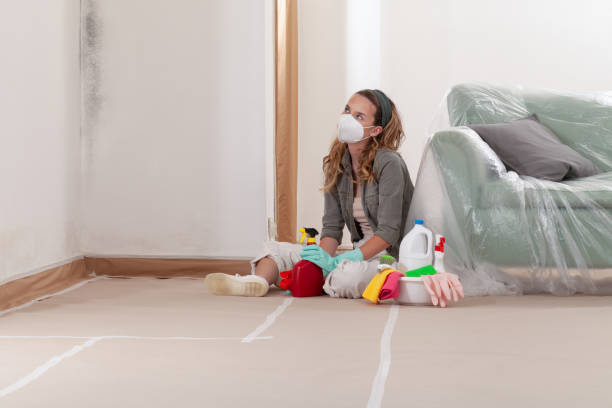 Reliable Attic Mold Removal contractor in Glen Arm, MD by WQB Mold Removal